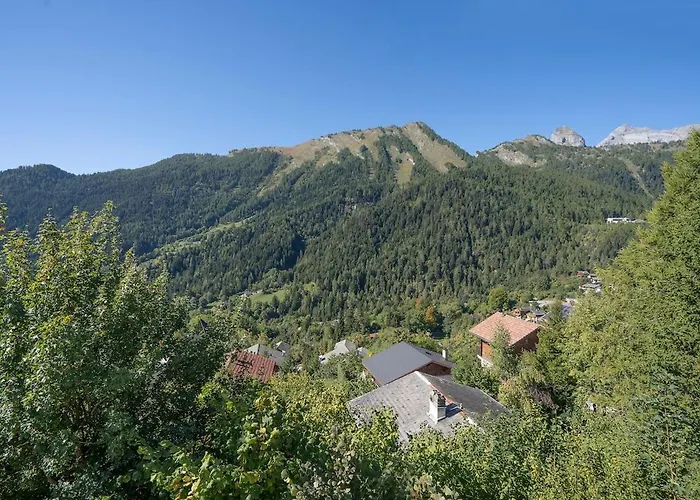 Panorama 180 View 2ba 10 Pax * Ovronnaz