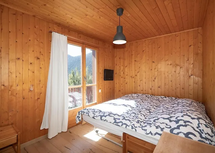 Panorama 180 View 2ba 10 Pax Ovronnaz