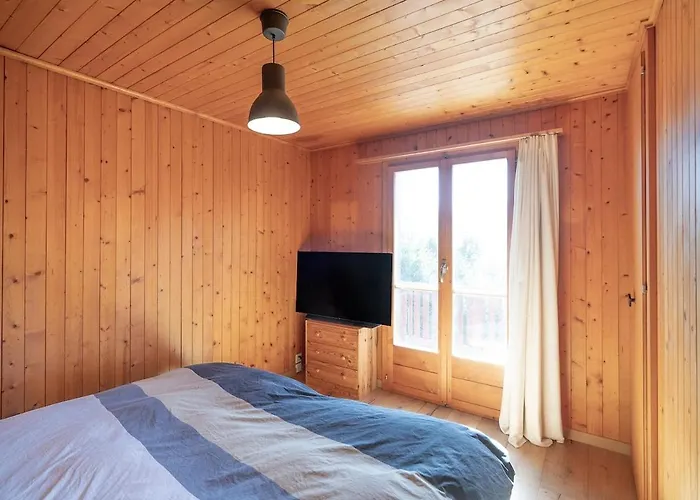 Panorama 180 View 2ba 10 Pax Ovronnaz